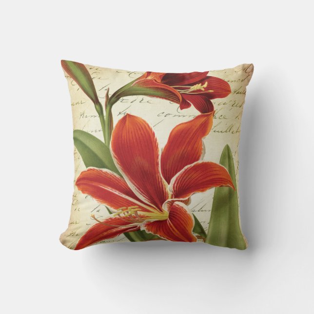 Coussin Fleur rouge de Noël d'amaryllis botanique (Recto)