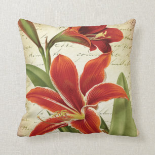 Coussin Fleur rouge de Noël d'amaryllis botanique