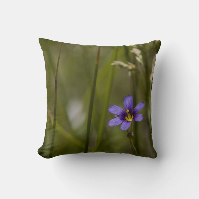 COUSSIN FLEUR SAUVAGE 5 (Recto)