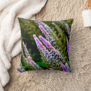 Coussin Fleur sauvage pourpre et vert