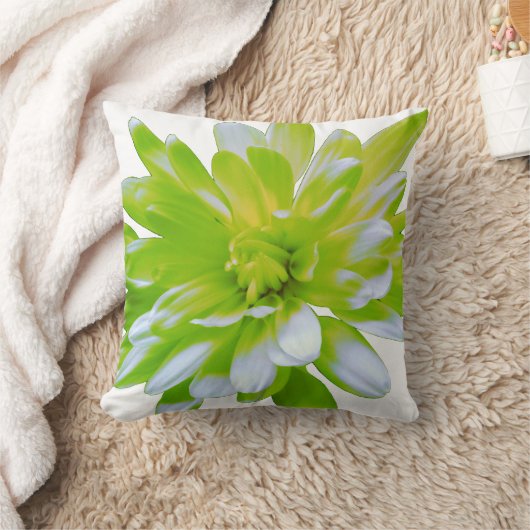 Coussin Fleur vert vert vert vert pâle marguerite (Couverture)