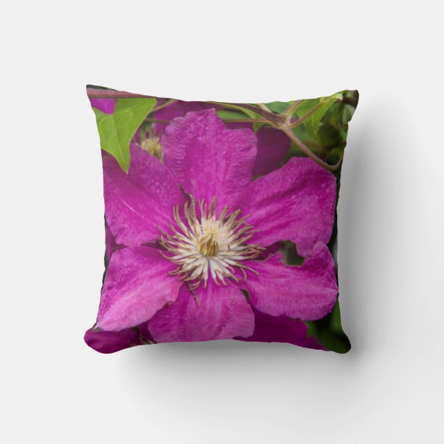 Coussin Fleurs chez Robinette's Apple Haus & Gift Barn (Recto)