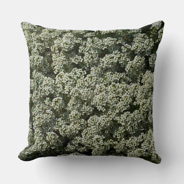 Coussin Fleurs d'Alyssum doux Floral blanc (Recto)
