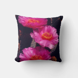Coussin Fleurs de Cactus Beavertail 2