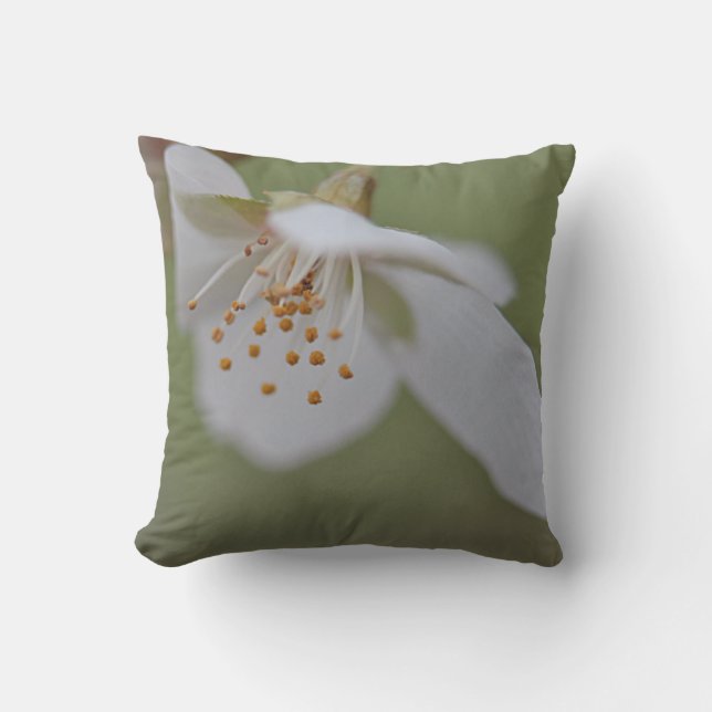 Coussin Fleurs de cerisier blanches (Recto)