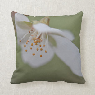 Coussin Fleurs de cerisier blanches