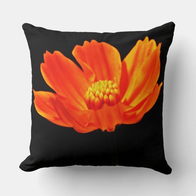 Coussin Fleurs de Cosmos orange (Recto)