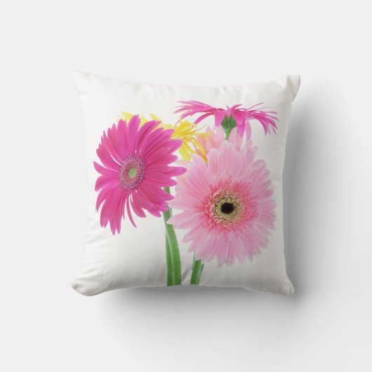 Coussin Fleurs de marguerite de Gerbera (Recto)