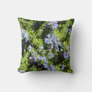 Coussin fleurs de romarin sur vert