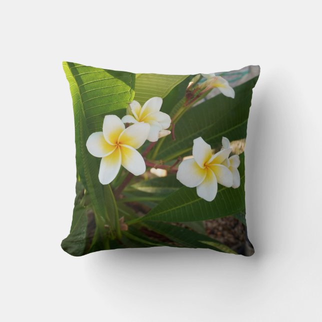 Coussin Fleurs Frangipani parfumées (Recto)