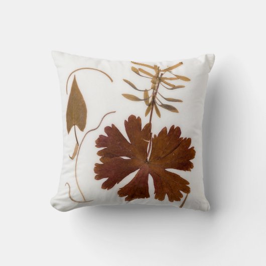 Coussin Fleurs pressées du milieu du XXe siècle (Recto)