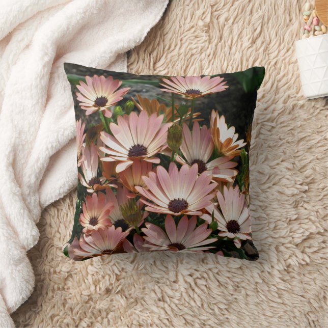 Coussin Fleurs roses de Marguerite d'Afrique  (Couverture)