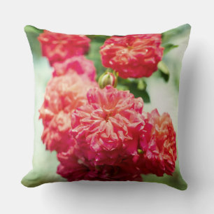 Coussin Fleurs roses rouges