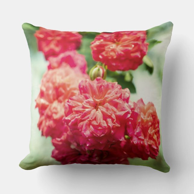 Coussin Fleurs roses rouges (Recto)