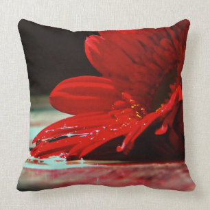 Coussin Fleurs rouges de Gerbera de marguerite