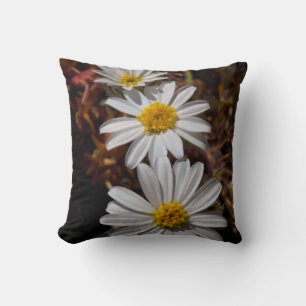 Coussin Fleurs sauvages Desert Star