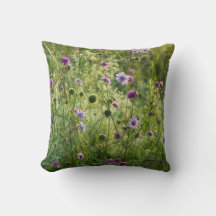 Fleurs sauvages violettes dans une prairie verte