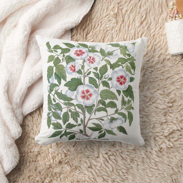 Coussin Fleurs vintages d'Hibiscus par Basilius Besler (Couverture)
