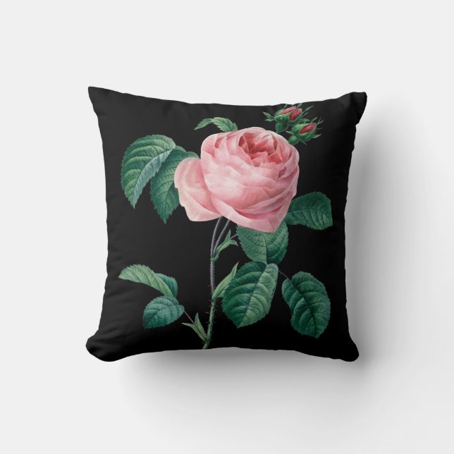 Coussin floral de noir de rose de rose (Recto)