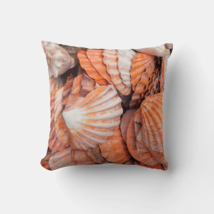 Coussin Florida Keys, Key West, coquillages