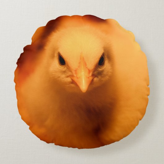 Coussin flou (Devant)