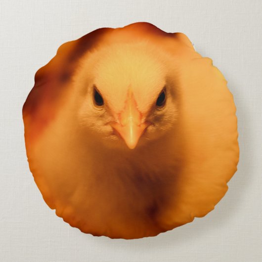 Coussin flou (Dos)