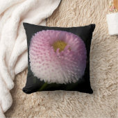 Coussin flowers on black - rosa bellis (Couverture)