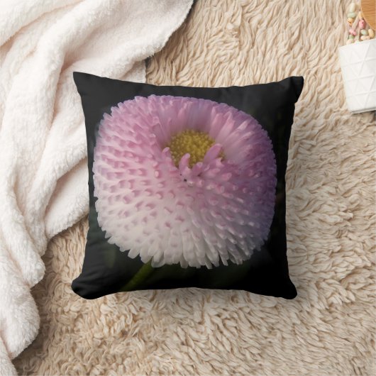 Coussin flowers on black - rosa bellis (Couverture)