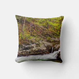 Coussin Flux De Forêts Dans Les Grandes Montagnes Fumées