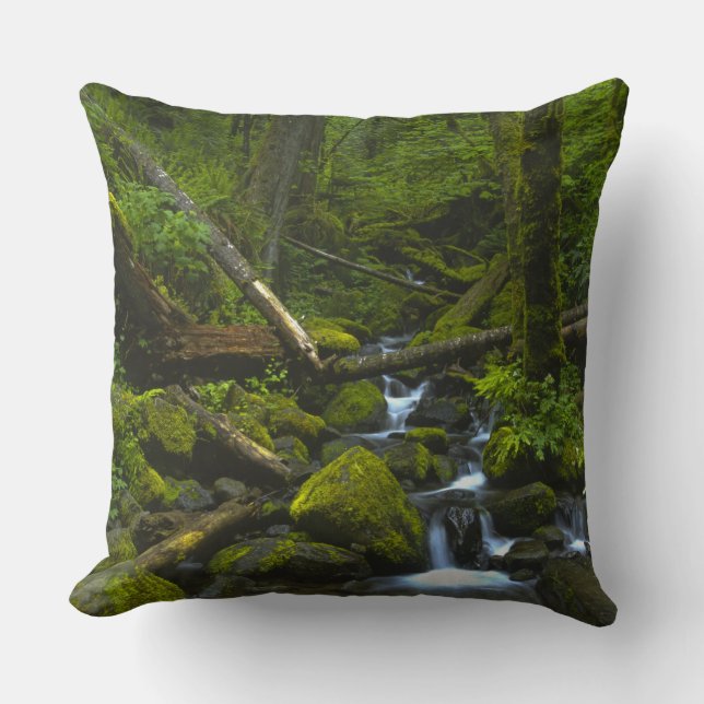 Coussin Flux tempéré de forêt tropicale dans la rivière Co (Recto)