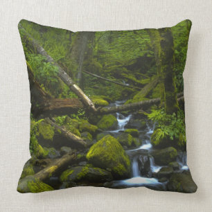 Coussin Flux tempéré de forêt tropicale dans la rivière Co