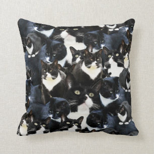 Coussin Folie de chat de smoking