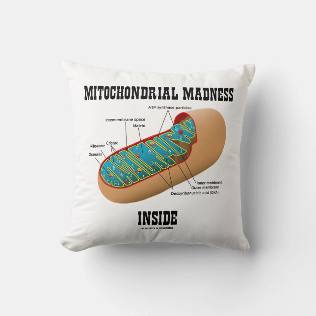 Coussin Folie mitochondriale dans la biologie de Mitochond (Recto)