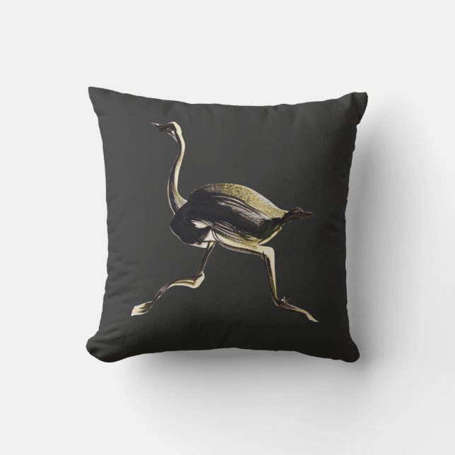 Coussin Fonctionnement d'autruche (Recto)