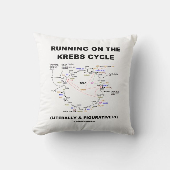 Coussin Fonctionnement sur le cycle de Krebs (humour de la (Recto)