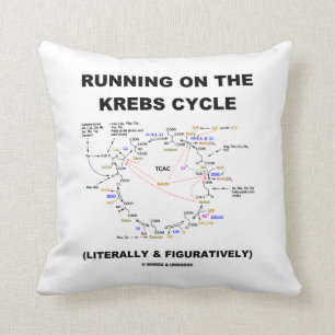 Coussin Fonctionnement sur le cycle de Krebs (humour de la
