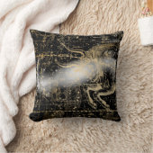 Coussin Fond de carte céleste étoilé vintage (Couverture)