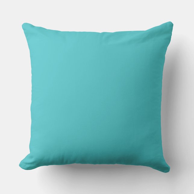 Coussin Fond uni de couleur Serpent de mer (Recto)