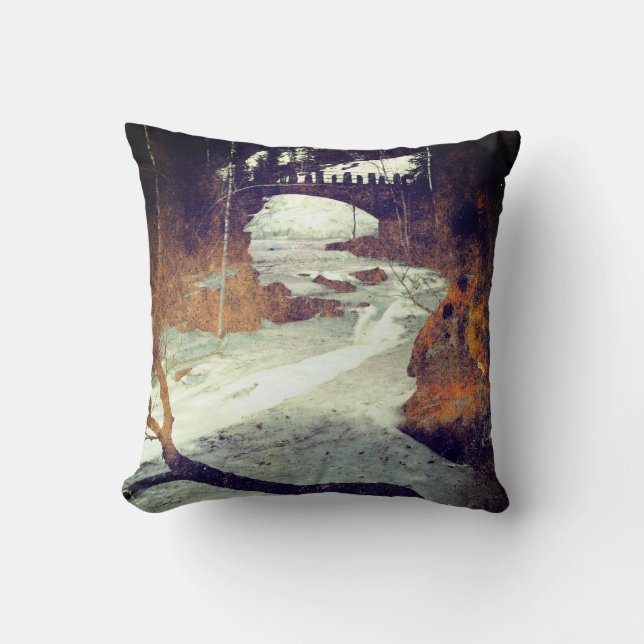 Coussin Fonte de flux congelée par Alexandra Cook (Recto)