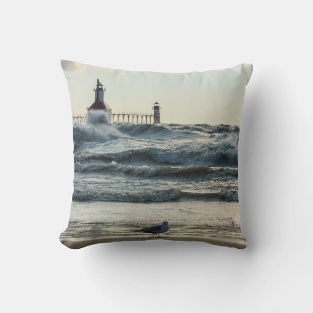 Coussin Force derrière la beauté (Recto)