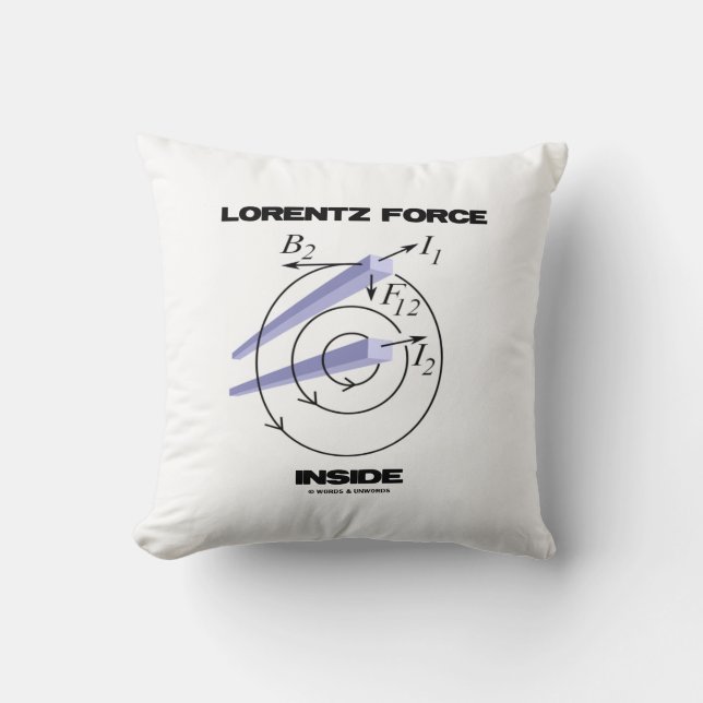 Coussin Force Lorentz à l'intérieur de l'Humour d'électrom (Recto)