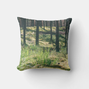 Coussin Forest trees. nature green wood sunlight backgroun