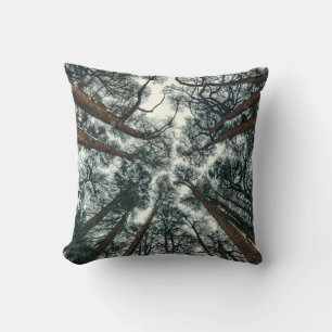 Coussin Forêt de cèdres Naturel Liban Arrière - plan