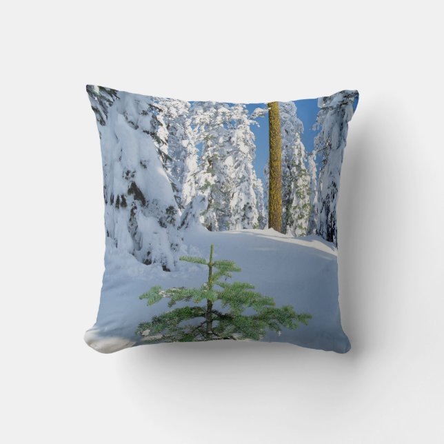 Coussin Forêt enneigée en Oregon (Recto)