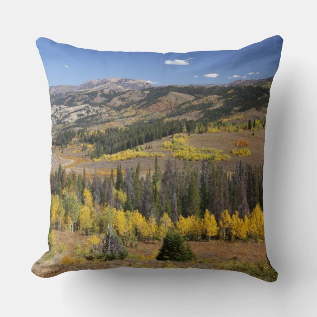 Coussin Forêt nationale de Bridger-Teton (Recto)