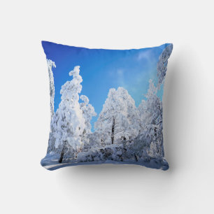 Coussin Forêt nationale de Cleveland