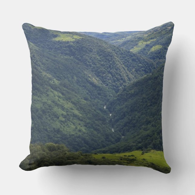 Coussin Forêts agricoles et himalaya dans la vallée de Man (Recto)