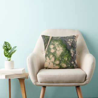 Coussin Formation rocheuse de grès avec de la mousse vert