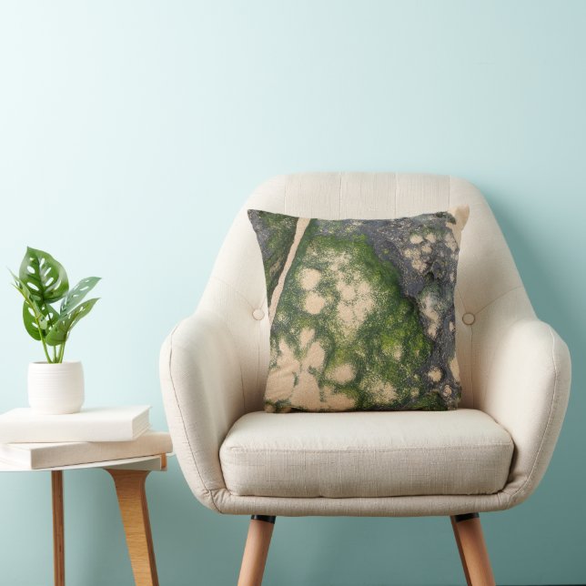 Coussin Formation rocheuse de grès avec de la mousse vert  (Chaise)