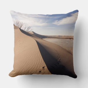 Coussin Formations de dunes de sable. Parc d'État des dune